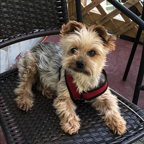 Meet your Posher, Vickie - Picture 1 of 1